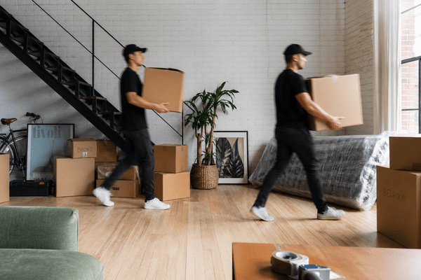 Sunshine Coast removalists case study — Spotlight Local